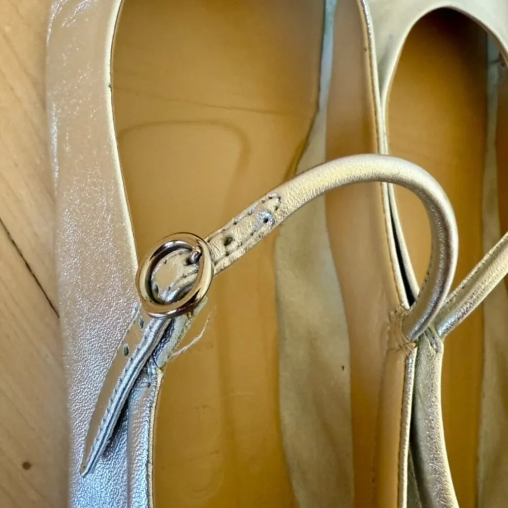 Aeyde Metallic Silver Mary Jane Flats